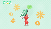 《Pikmin Bloom》香港雙重活動登場！限定金色花苗、紀念明信片與皮克敏遮陽帽等你蒐集