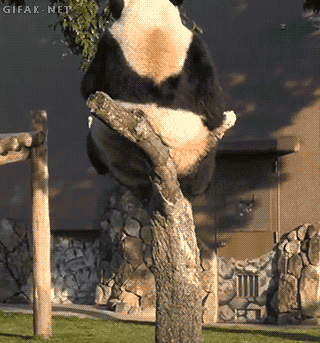 132951mqrr56mzqv6am8tl.gif
