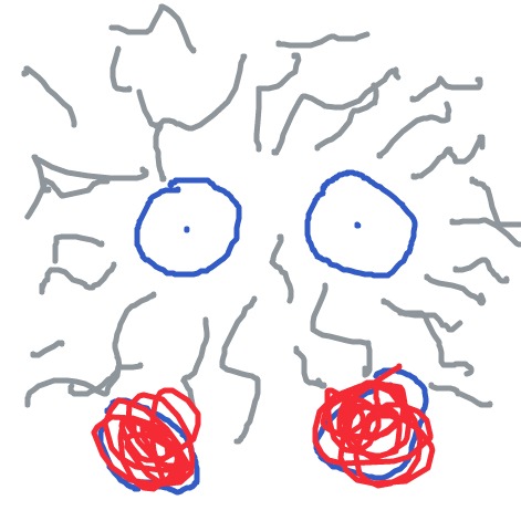 Tangela.jpeg