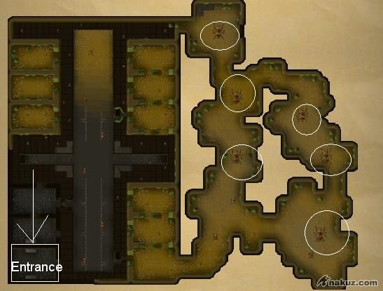 3.JPG