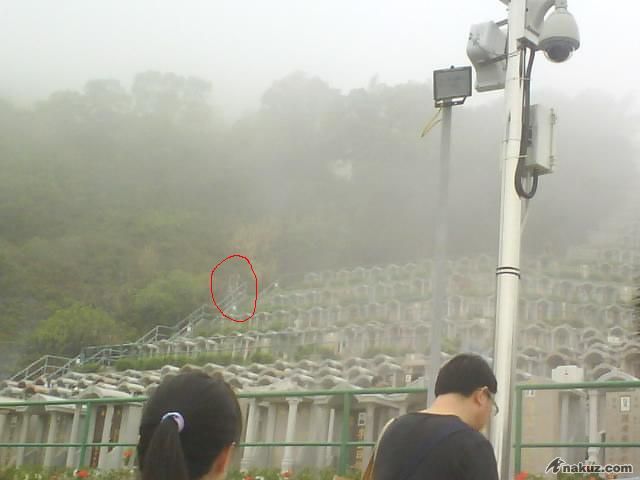 DSC0071122.JPG