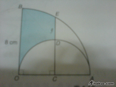 123.gif