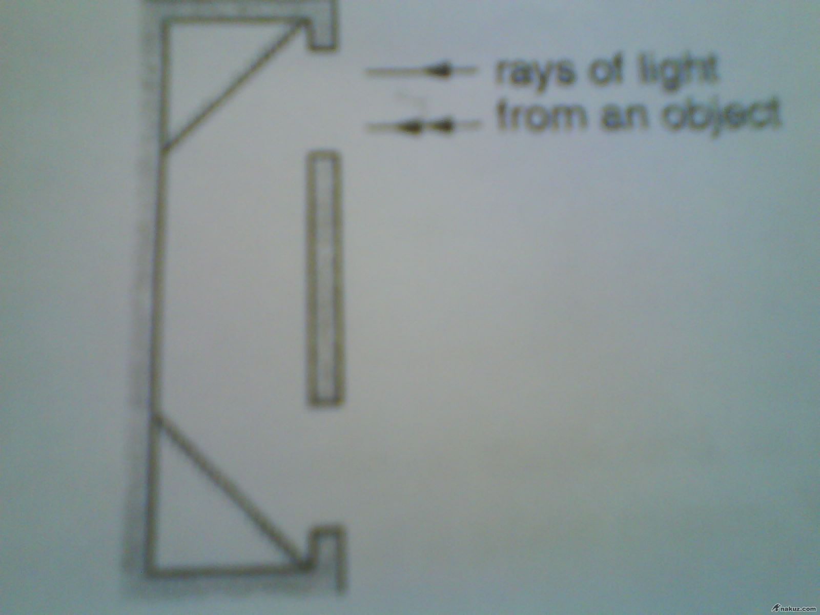 DSC00229.JPG