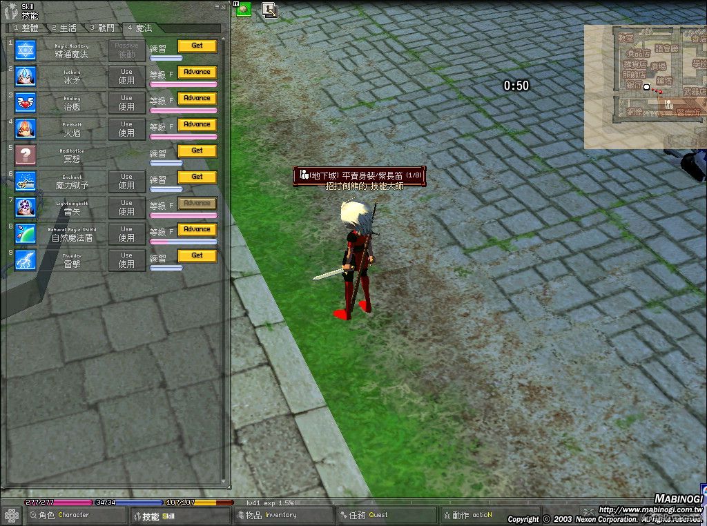 mabinogi_2008_04_18_003.jpg
