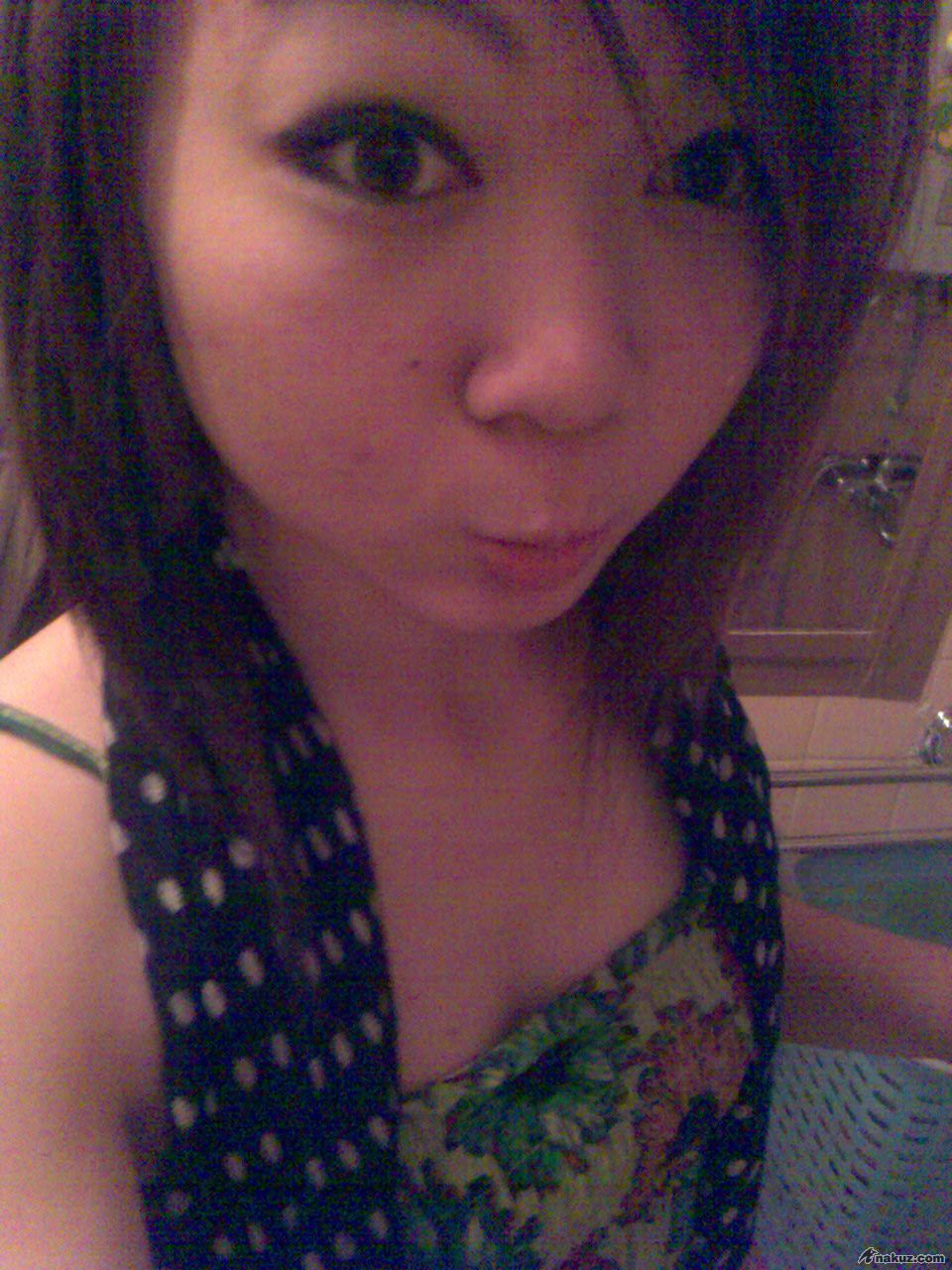 SHORTHAIR*3*
