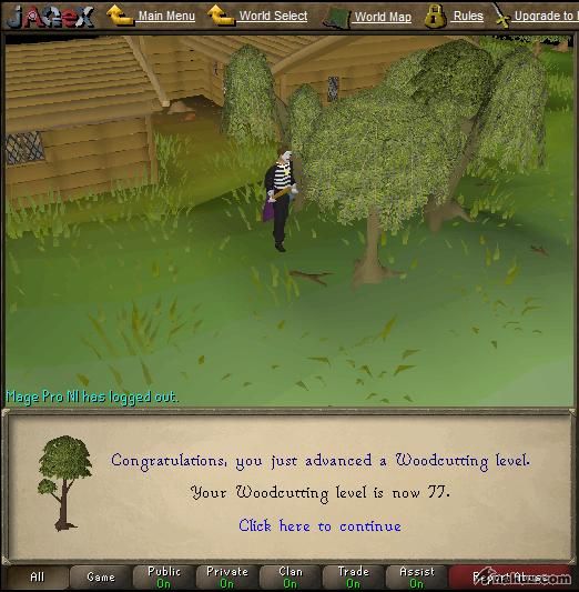 RS - 77woodcutting.JPG