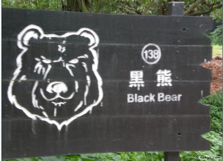 BLACK01.JPG