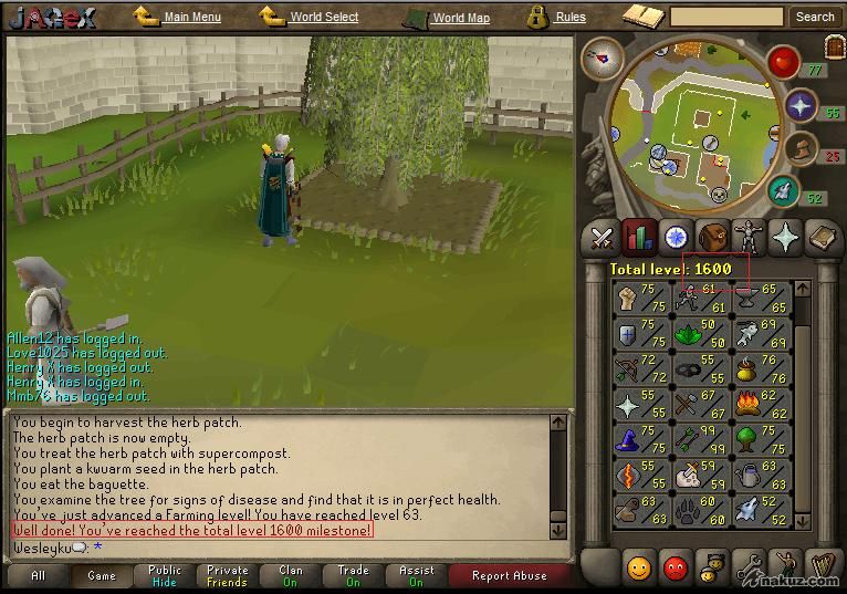 1600total XD.jpg