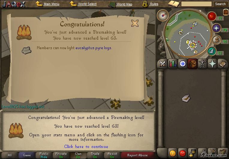 firemaking 63.jpg