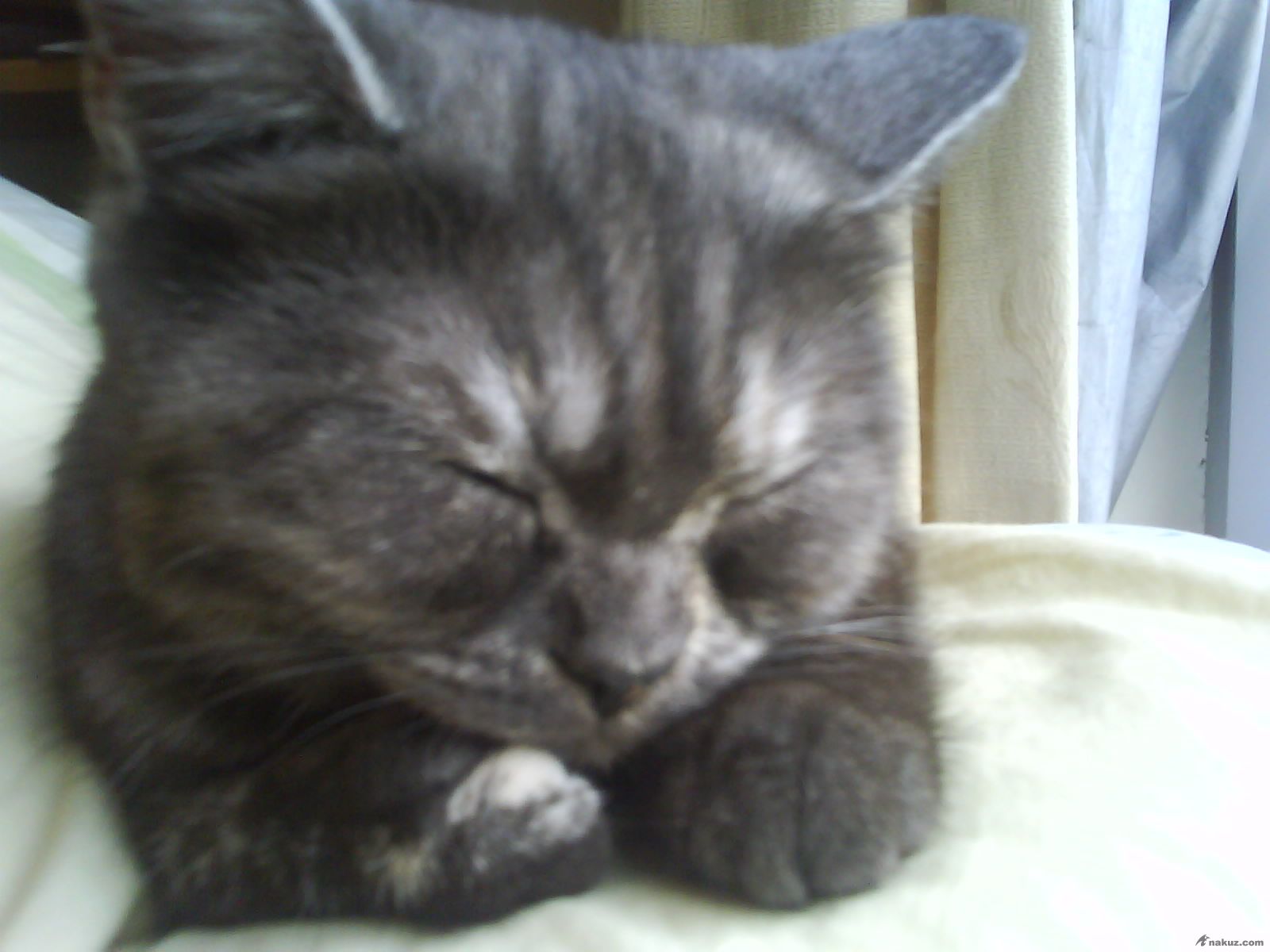 DSC00426.JPG