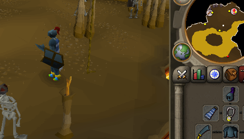 222213.JPG