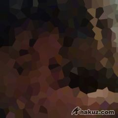 12-03-08_21412.jpg