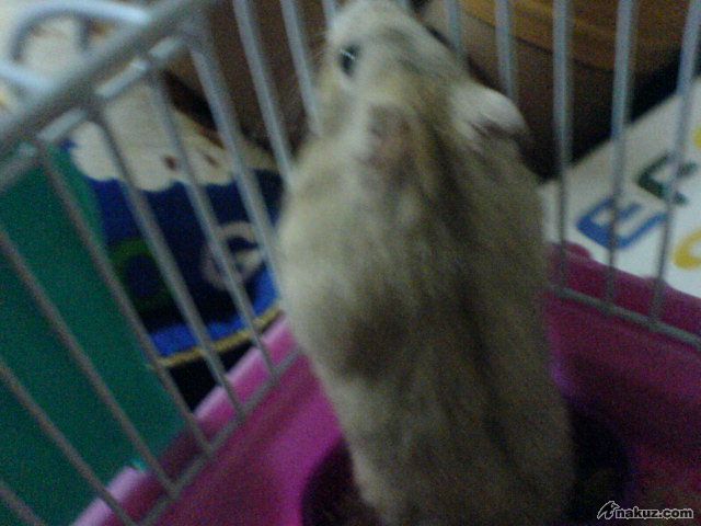 DSC01554.JPG