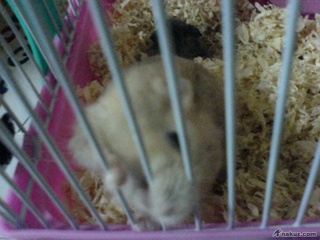 DSC01547.JPG