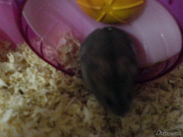 DSC01553.JPG