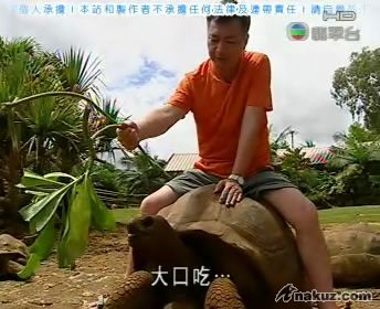 大口吃.jpg