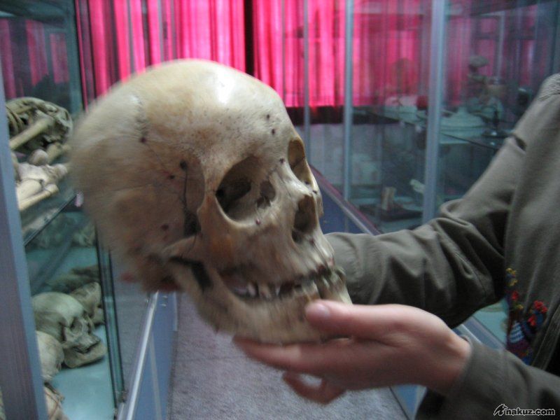 b84166316.jpg