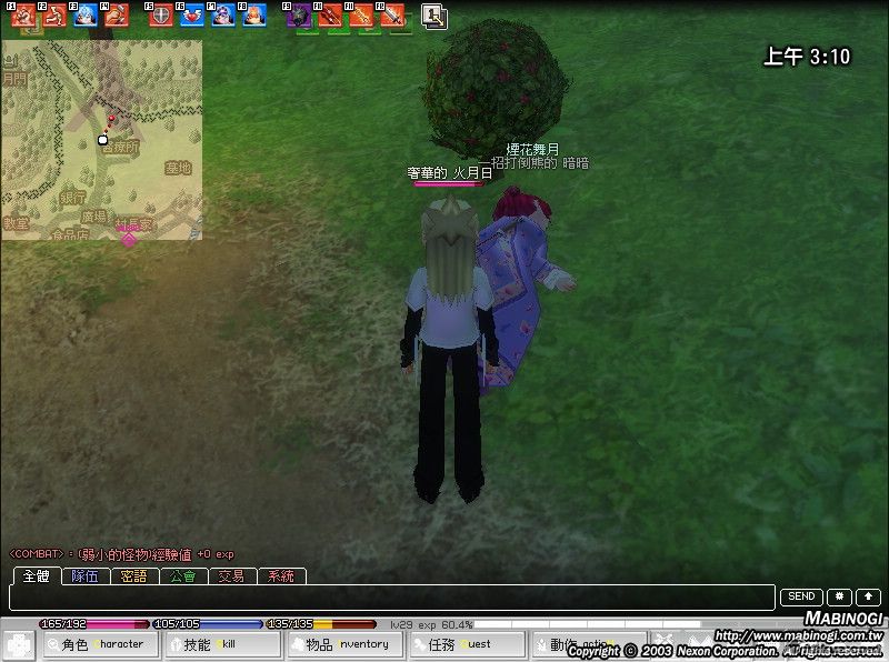 mabinogi_2008_08_13_001.jpg