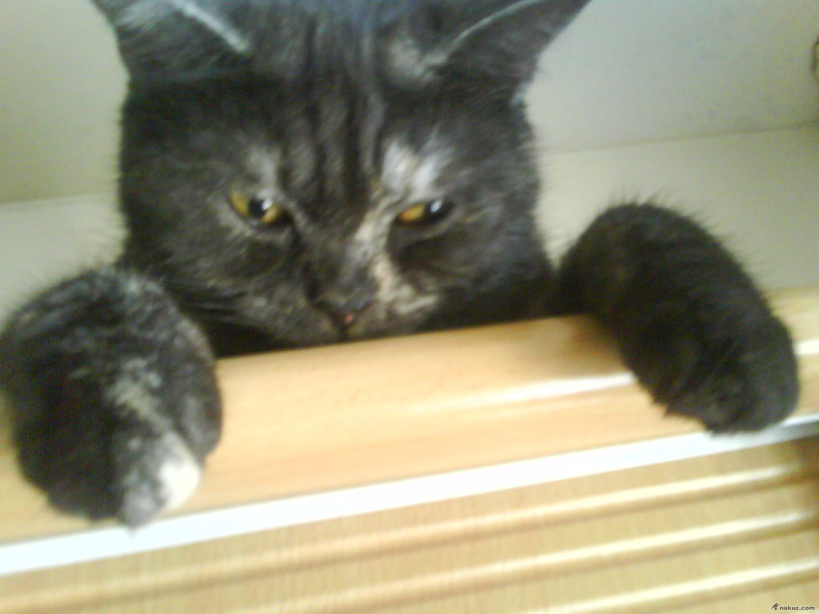 DSC00635.JPG