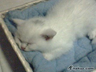 IMG0082A.jpg