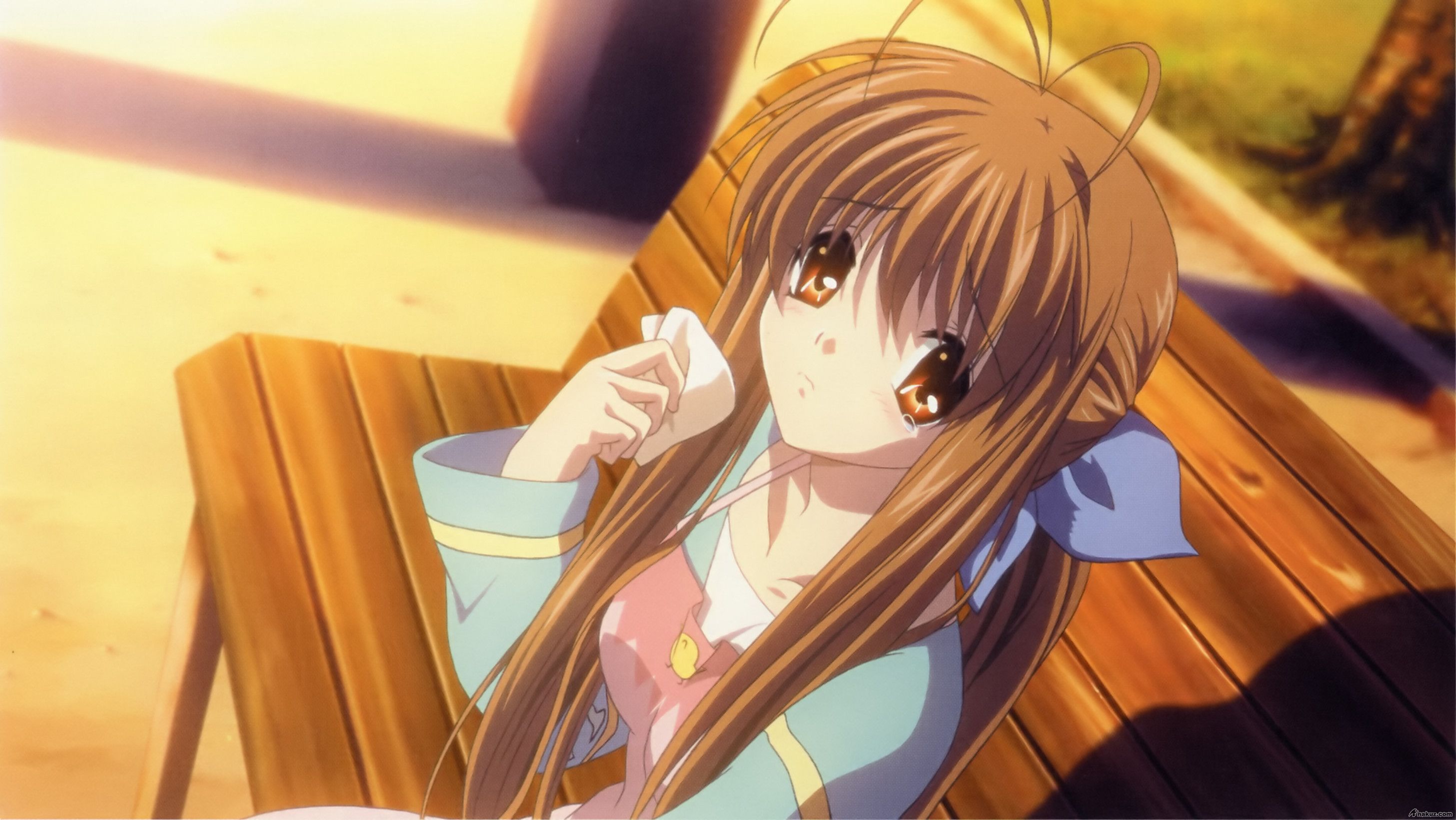 sanae2.jpg