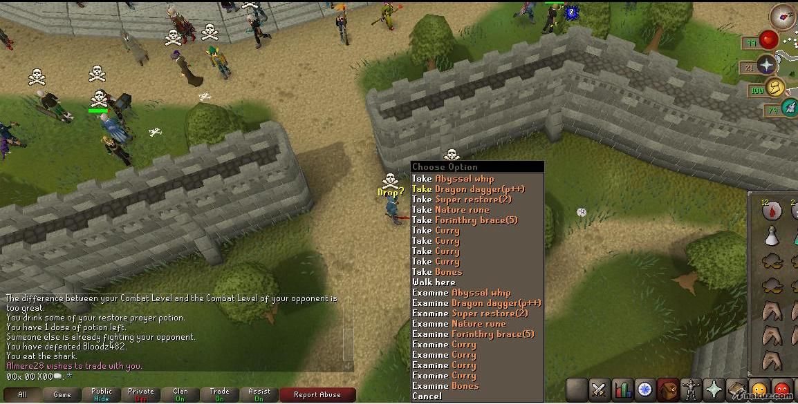 whip pk.jpg