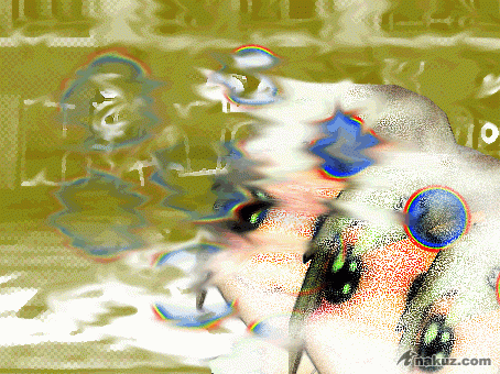 156.gif