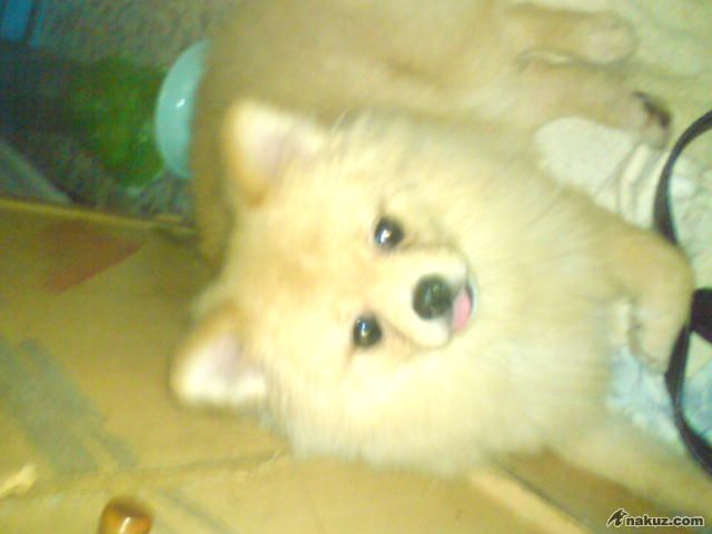 DSC00174.JPG