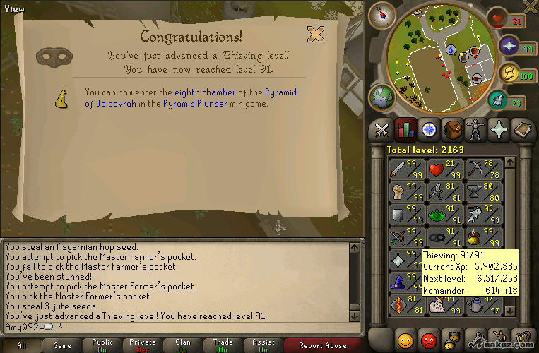 thieving 91.PNG