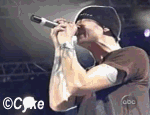 013.gif
