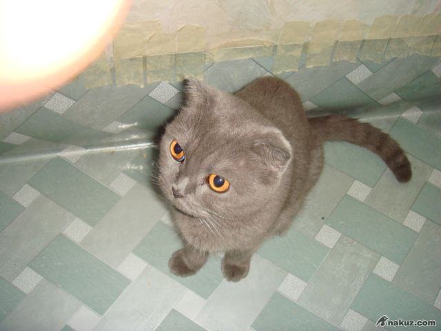 DSC01352.JPG