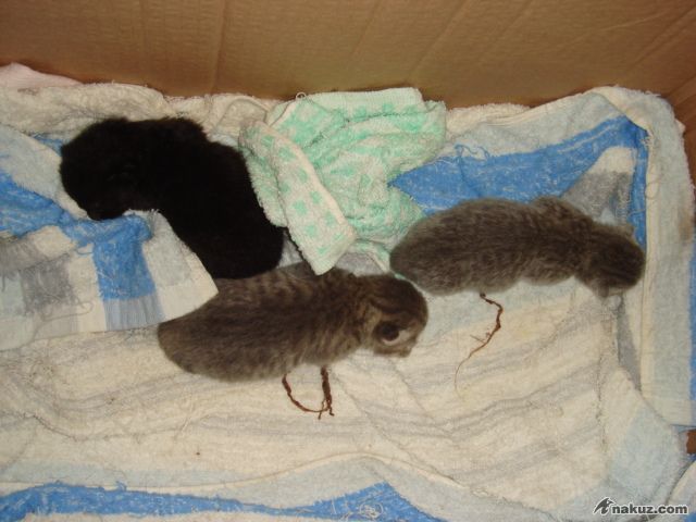 DSC01356.JPG