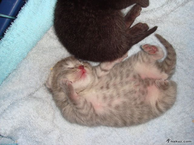 DSC01363.JPG