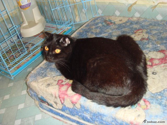 DSC01402.JPG