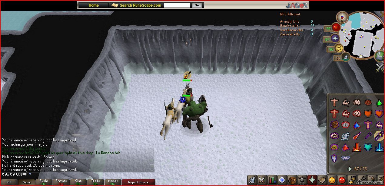 bandos hilt 6.JPG