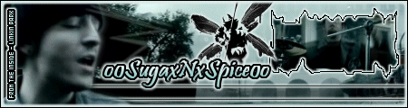 newsig2qs.gif