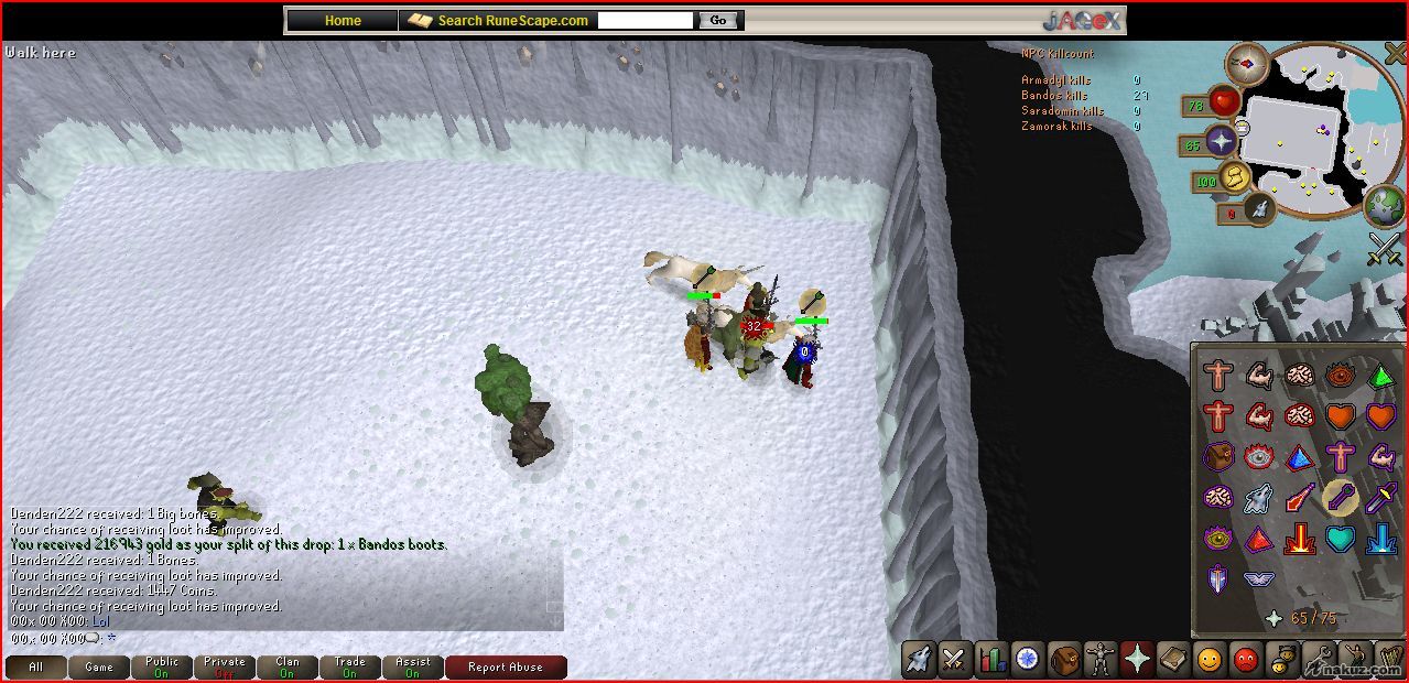 bandos boots 12.JPG