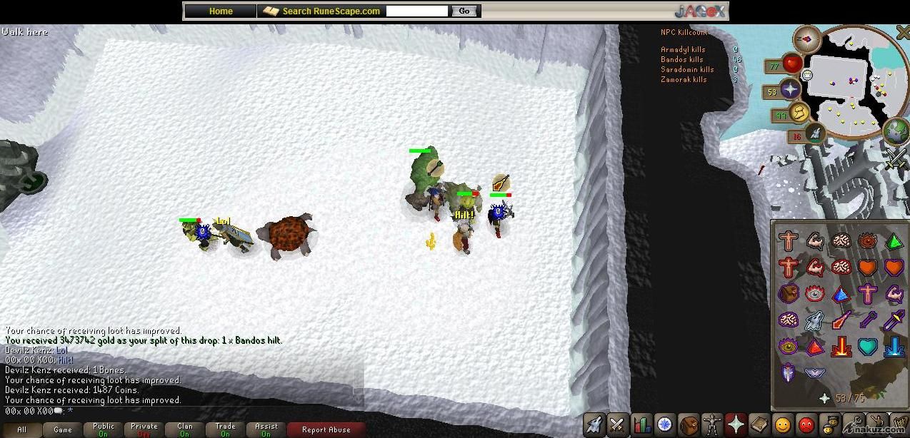 bandos hilt 4.jpg
