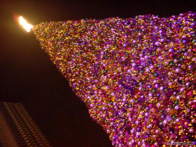 DSC00053.JPG