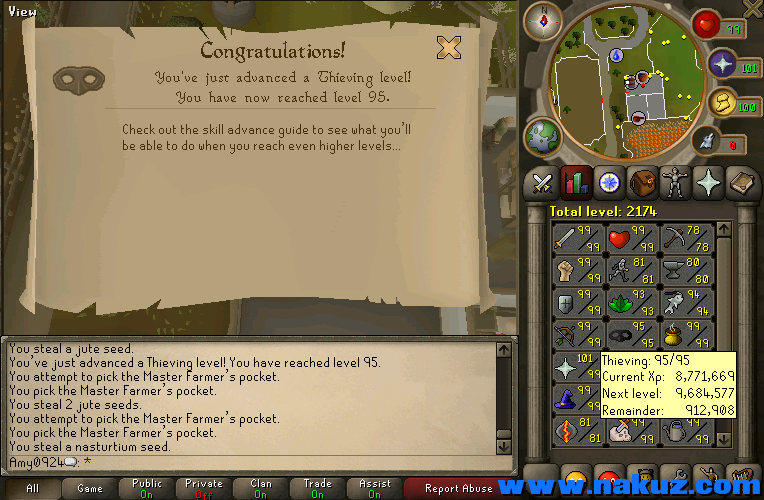thieving 95.PNG