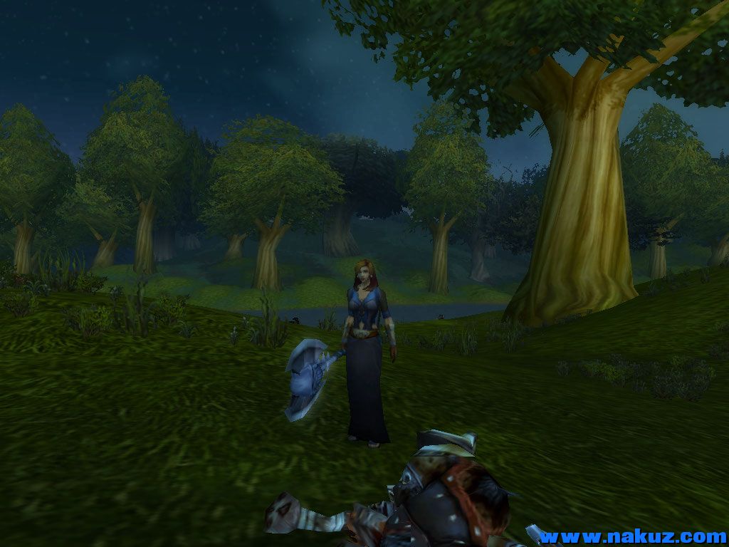WoWScrnShot_030109_033237.jpg