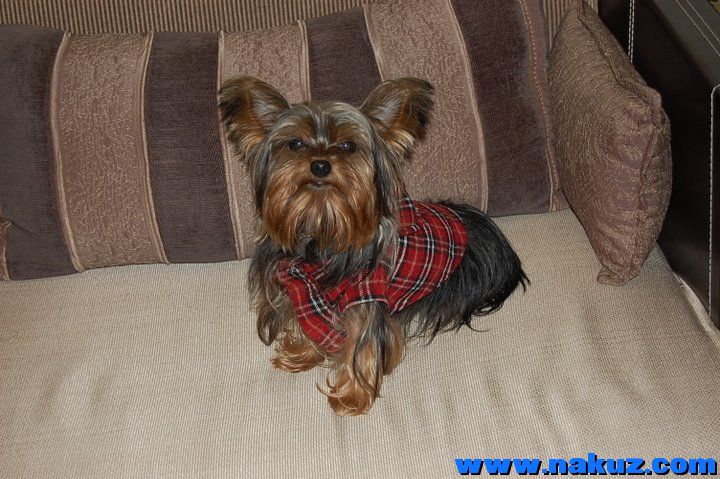 L-2008-12-31-ab-C.JPG
