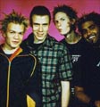 sum_41.jpg