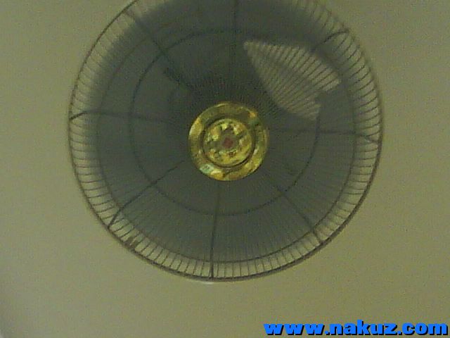 照片 1085.jpg