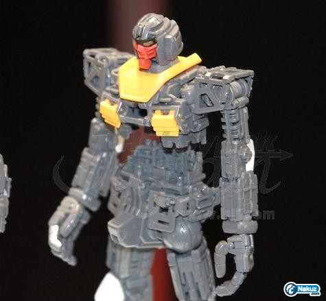 Shell72.jpg