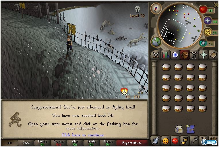 74 agility.JPG