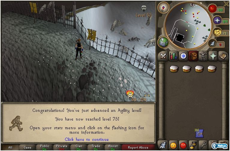 75 agility.JPG