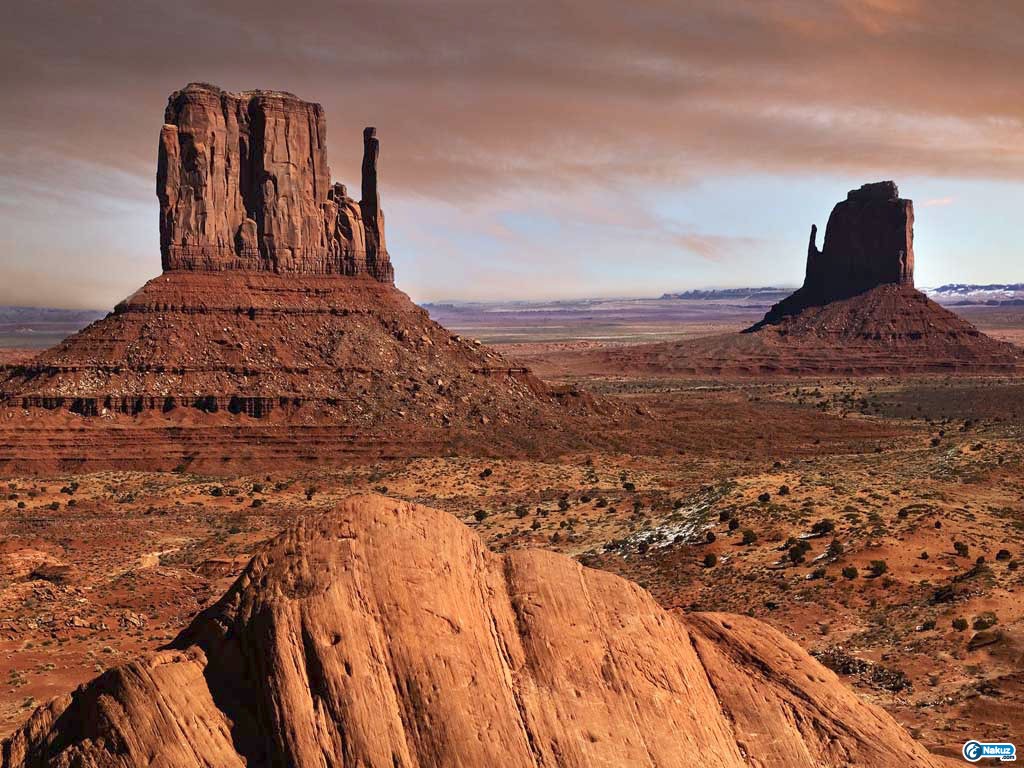 Desert Landscape.jpg