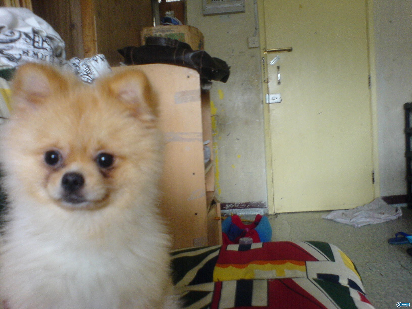 DSC00691.JPG