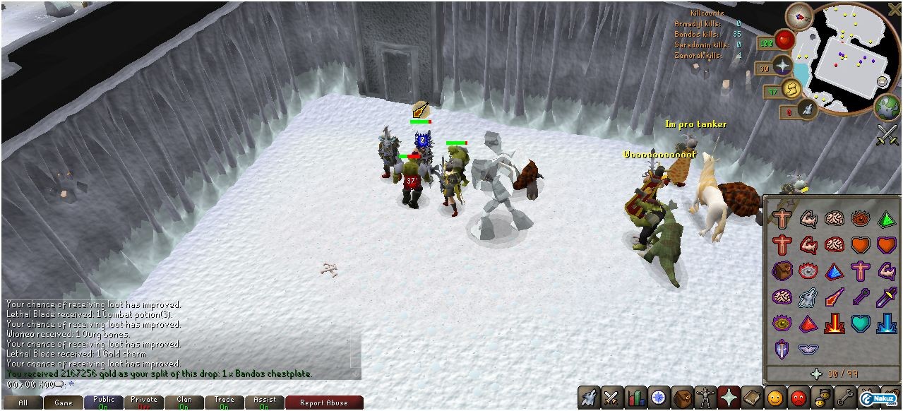 bandos chest 15.JPG